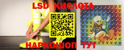прущие грибы Краснодар