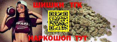 прущие грибы Краснодар