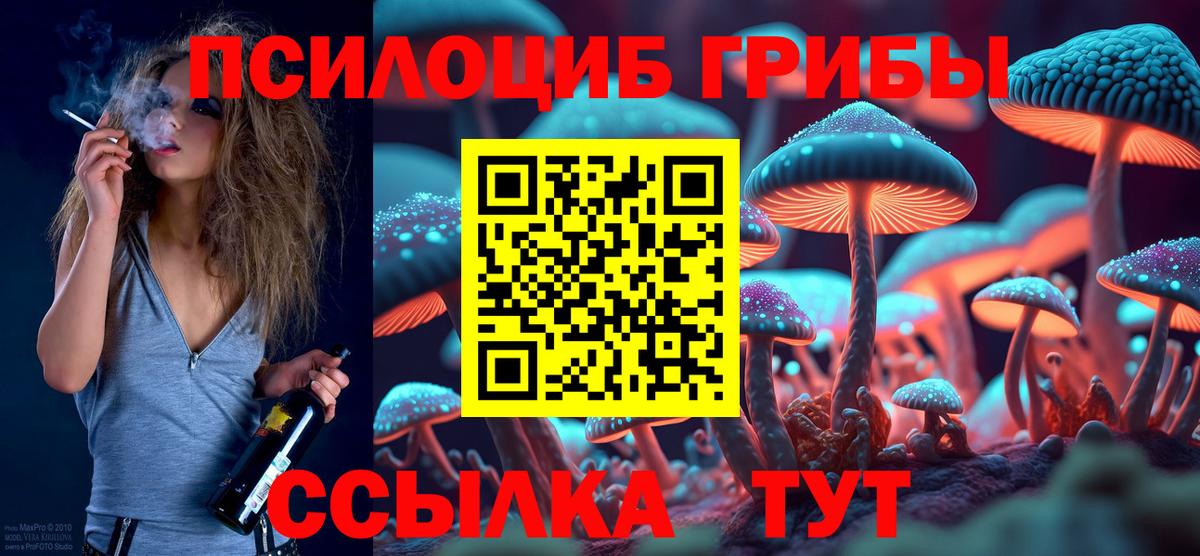 Железногорск  продажа наркотиков  Псилоцибиновые грибы мухоморы  Вход с VPN  Галлюциногенные грибы мухоморы 